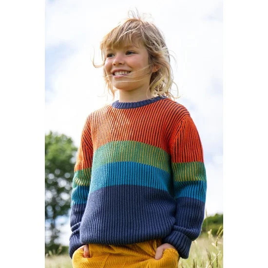 Jumper Frug Top Notch Navy Blue Rainbow Stripe sale